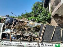 Best Carpet Removal and Disposal  in Coal Fork, WV