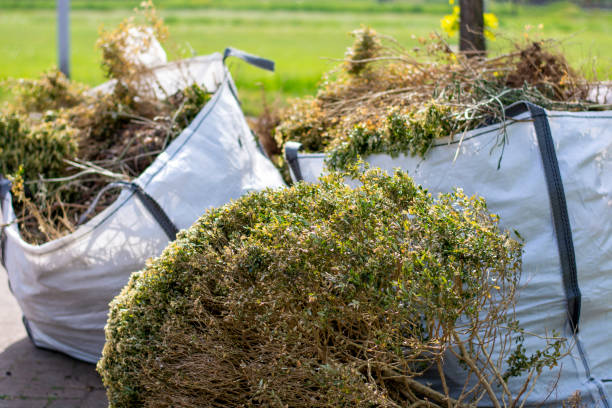 Best Recycling Services for Junk  in Coal Fork, WV